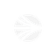 whitelist icon
